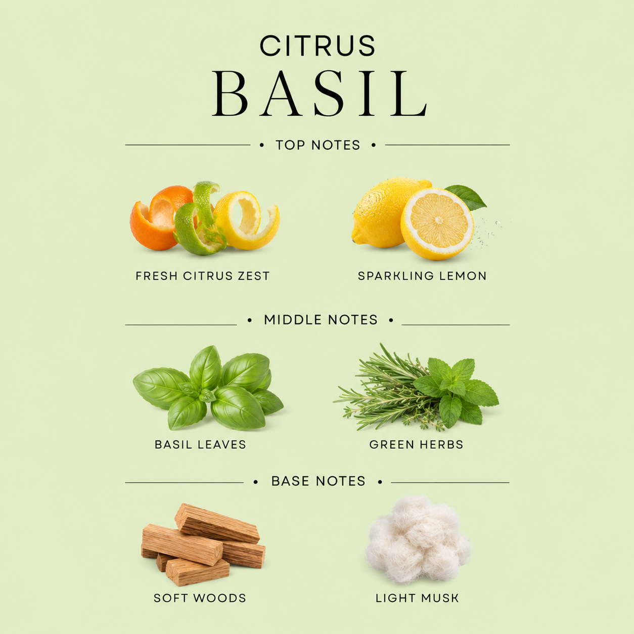 Citrus Basil 3-Wick Candle
