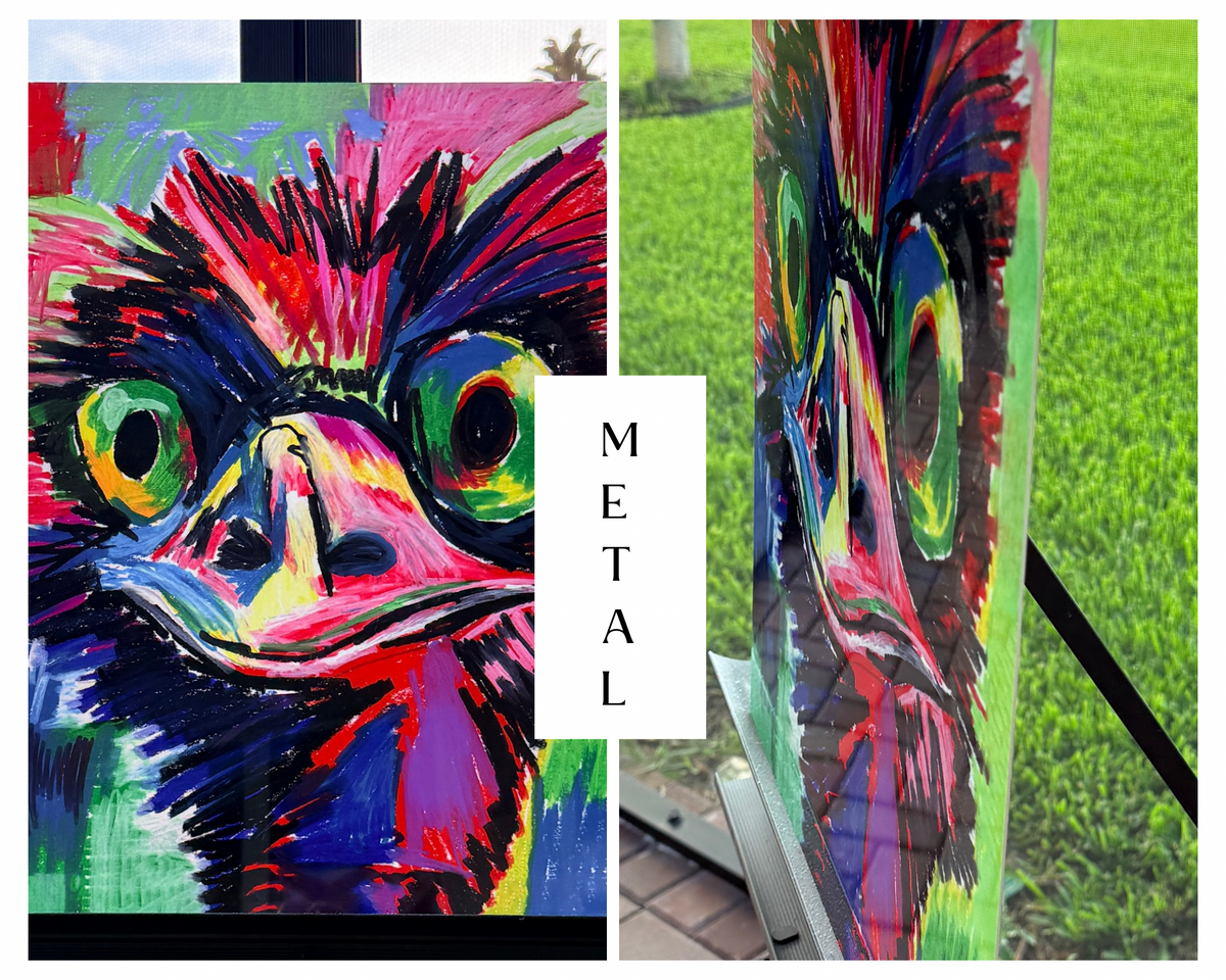 Meerkat - Art Prints