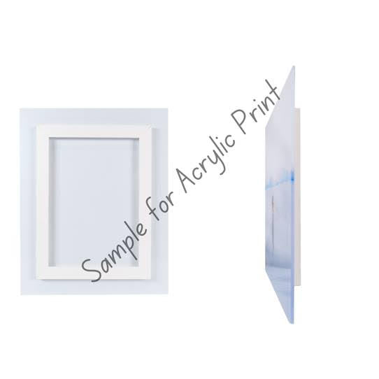 Rose - Art Prints